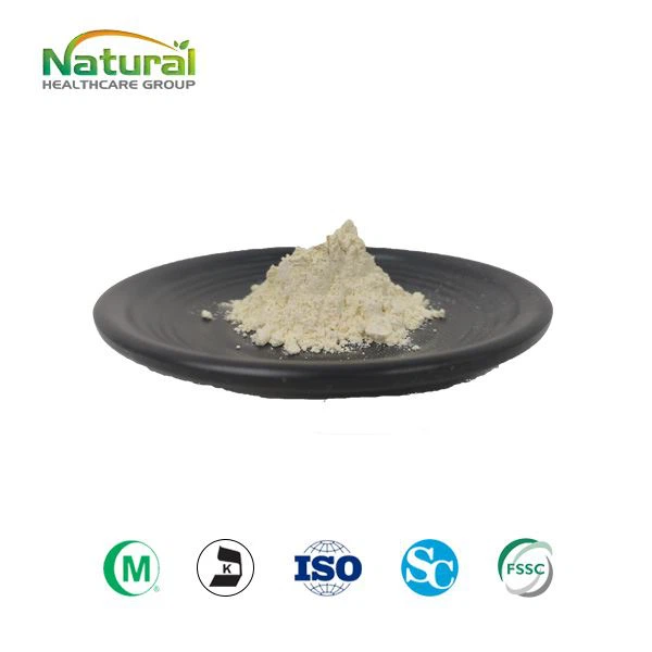 Centella Asiatica Extract Powder Centella Asiatica Extract Powder