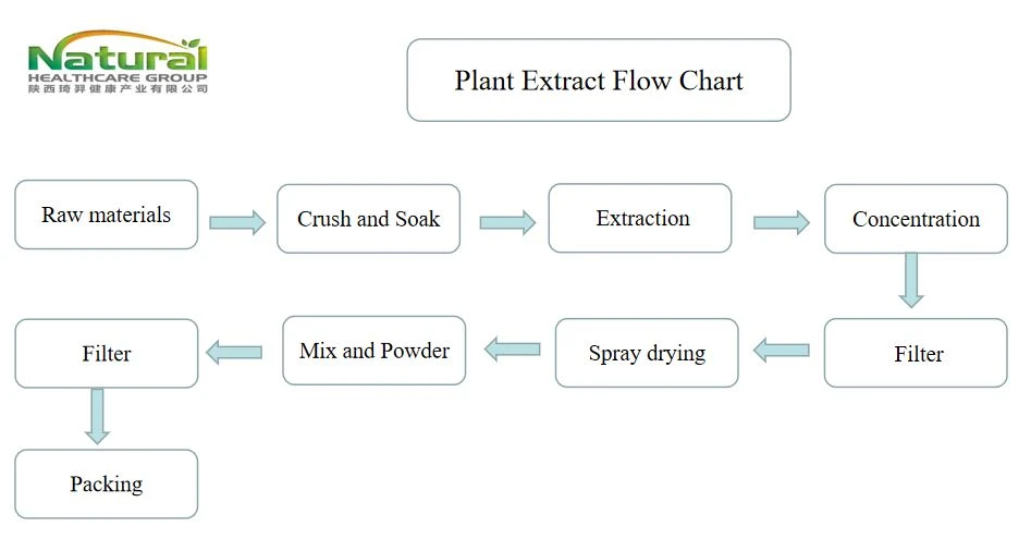 flow chart flow chart