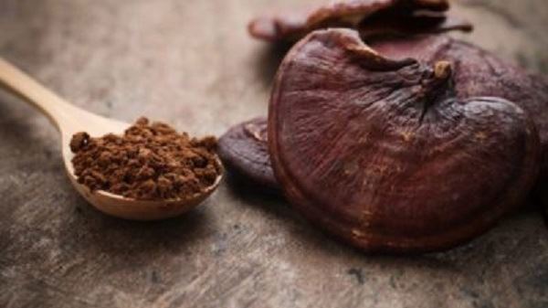 Reishi Mushroom Extract Powder Reishi Mushroom Extract Powder