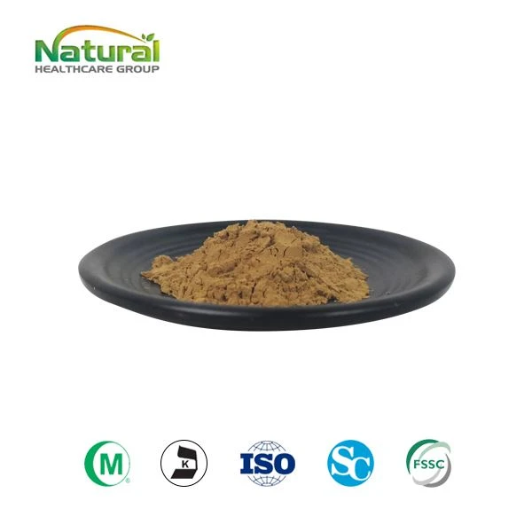 Cissus Quadrangularis Extract Prášok