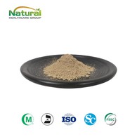 Extrakt z Magnolia Officinalis v prášku