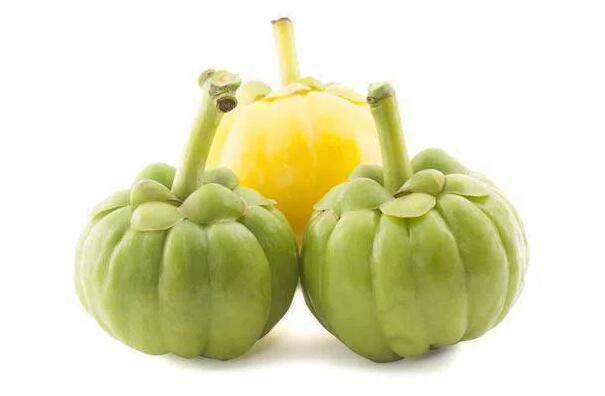 Pomáha extrakt z Garcinia Cambogia 60 percent pri chudnutí?