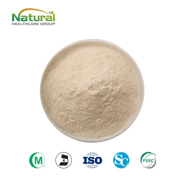Egg Shell Membrane Powder